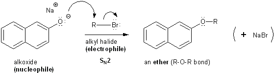 Amide and williamson ether synthesis of acetophenetidin