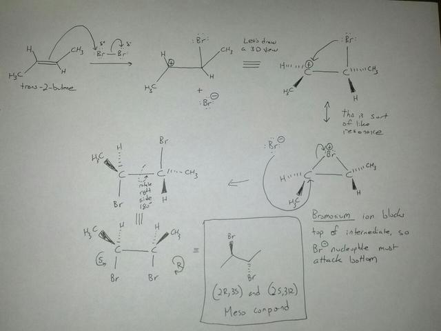 bromination mechanism chem draw